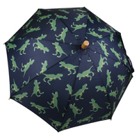 Kids Umbrella