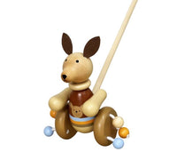 Wooden Push Toys - Assorted