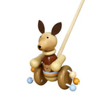 Wooden Push Toys - Assorted