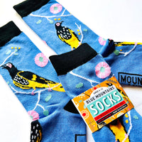 Blue Mountains Socks - Regent Honeyeater